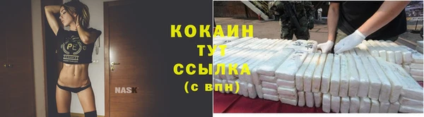 мяу мяу мука Новокубанск