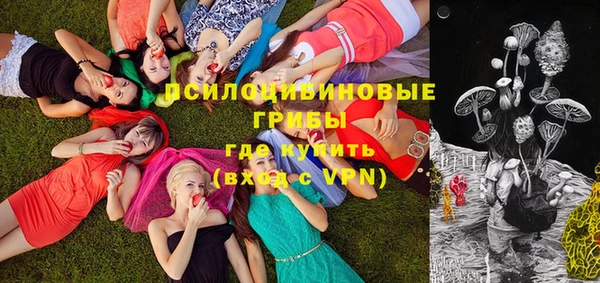 мяу мяу мука Новокубанск