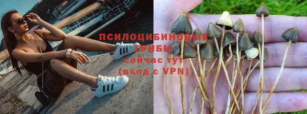 мяу мяу мука Новокубанск