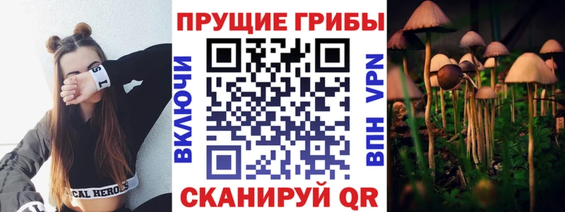 Галлюциногенные грибы Cubensis  наркотики  Пыталово 